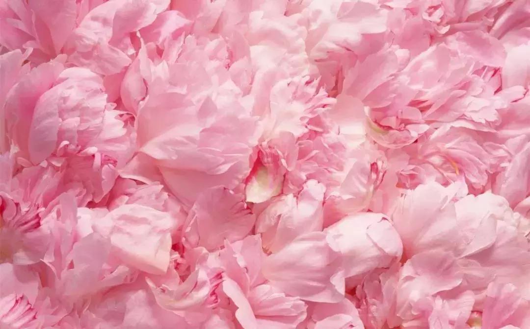 alinderose保加利亚玫瑰纯露,保湿祛皱淡斑抗老