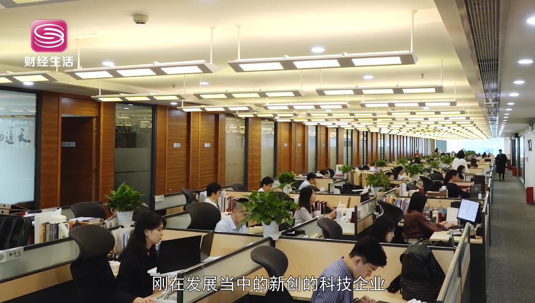 深圳电视台深圳直通车报道—走进北京德恒（深圳）律师事务所