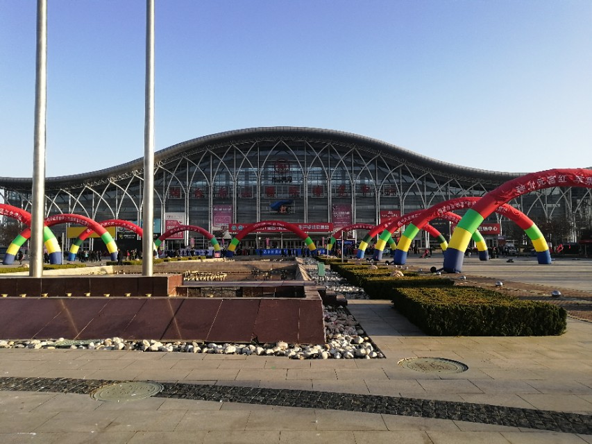 冠核核桃苗多少钱一棵,冠核核桃苗