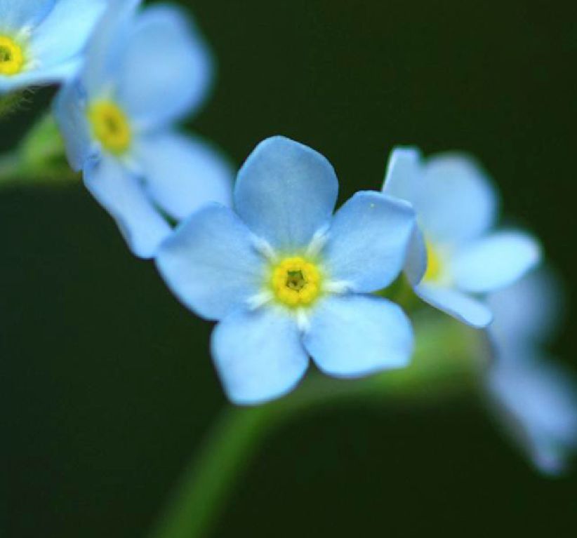 tiffany蓝白银,tiffany蓝价钱