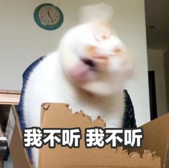 证件照怎样复制到表上,证件照只有一张怎么复制