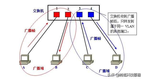 新手都能看明白的vlan原理解释,vlan划分入门基础知识