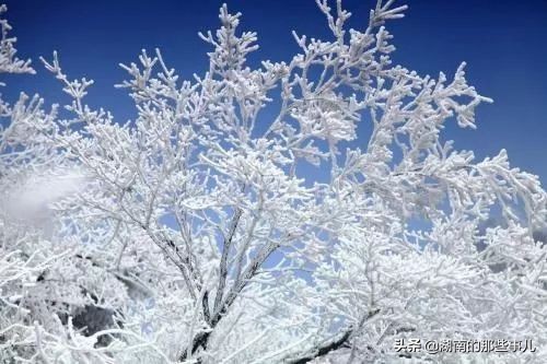 衡阳心动,衡阳南岳雾凇云海