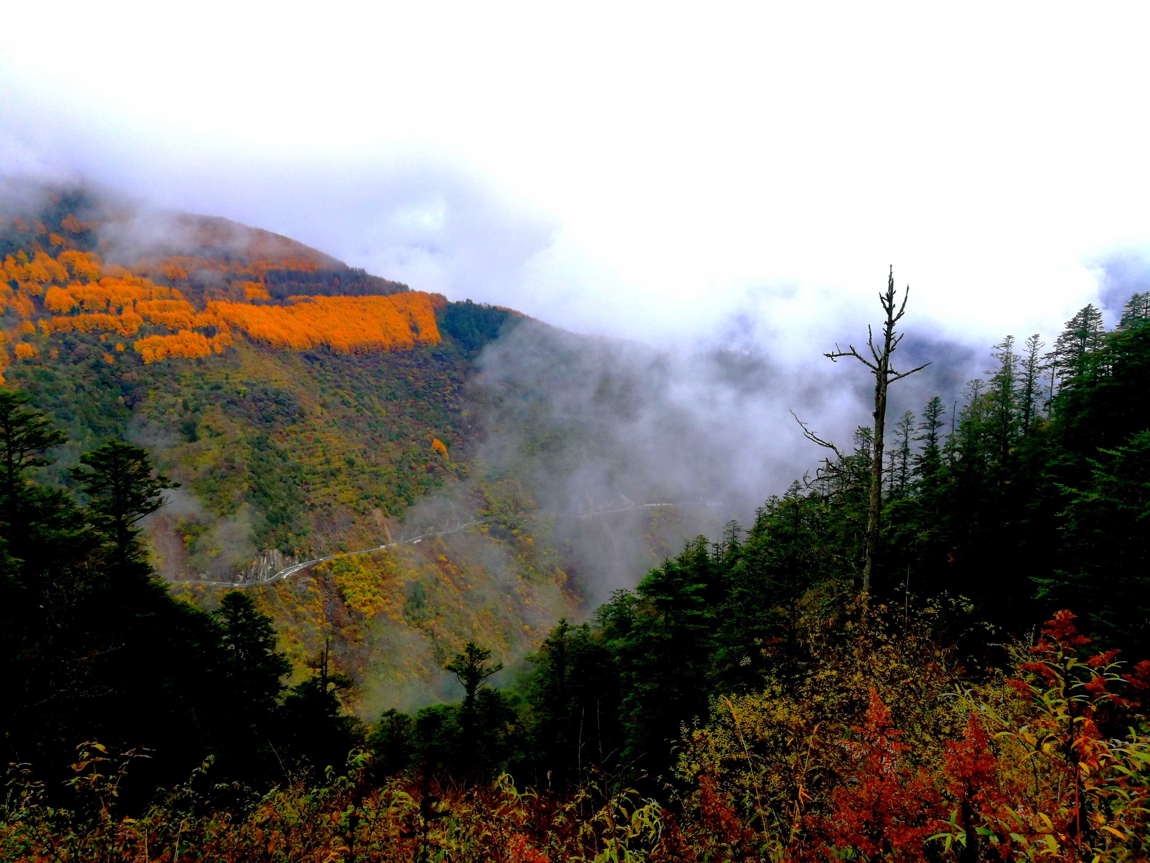 夹金山垭口云海,重峦叠嶂层峦叠嶂