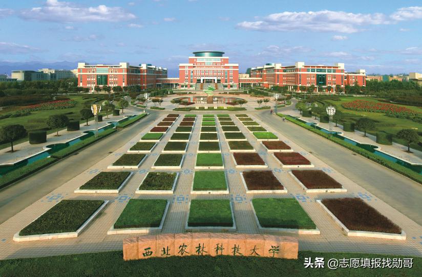 西北最好的985学校是哪所,中国西北985学校都有哪些