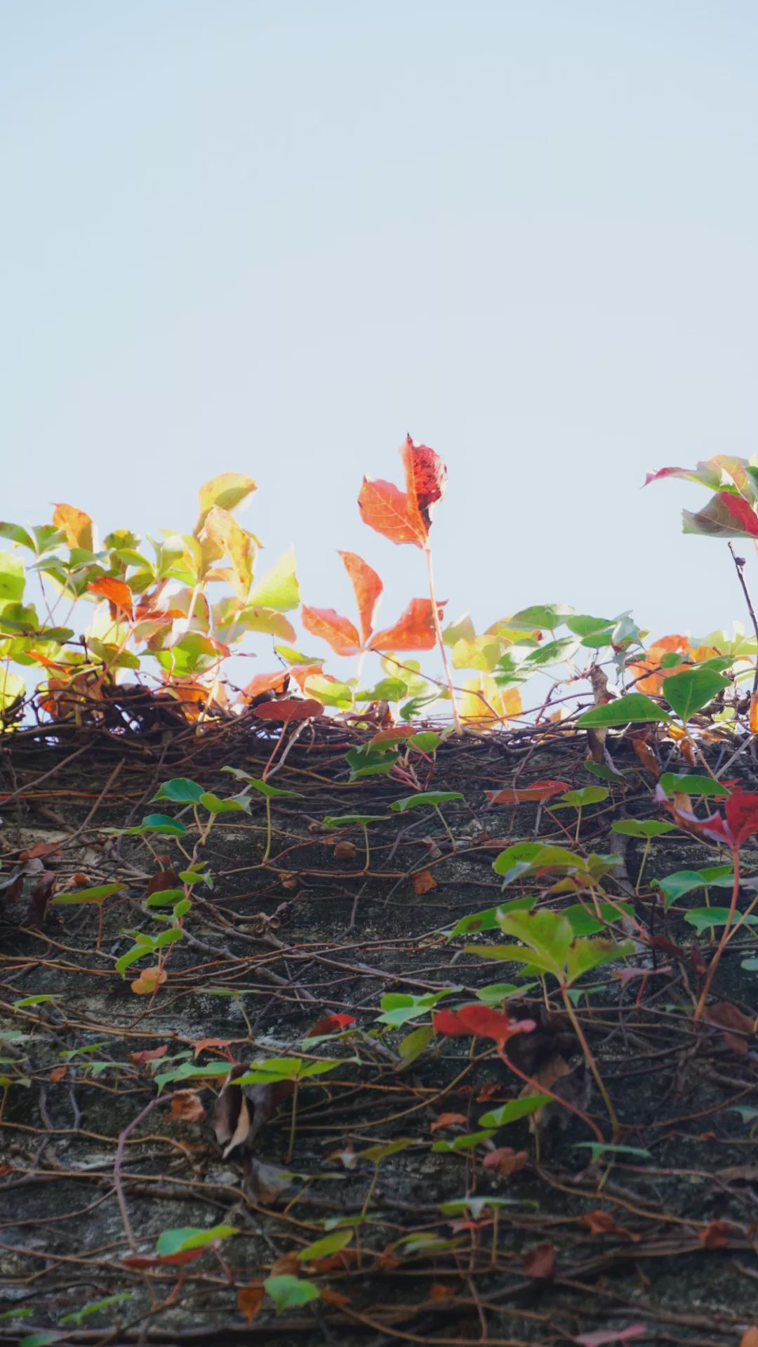 南山景区小长城,深圳藏着的小长城