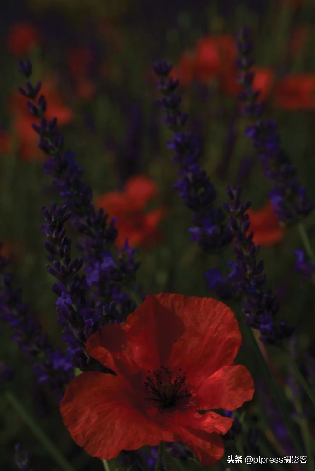 光圈值越大光圈越大正确还是错误,相机光圈与镜头光圈的关系