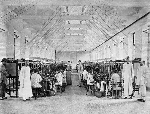 上海的市花是什么花朵,上海市市花曾经是什么