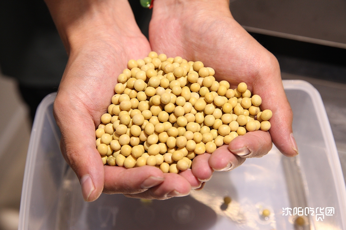 火爆南方的潮店空降沈阳！豆浆里还能加朗姆酒？我醉了