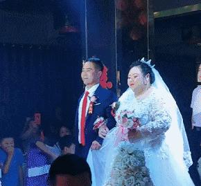 有一匹马不会动了是怎么回事,有一匹马不会动是怎么回事