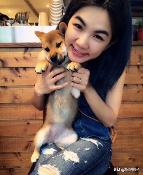 娱乐圈那些感人的事,明星与宠物的感人瞬间