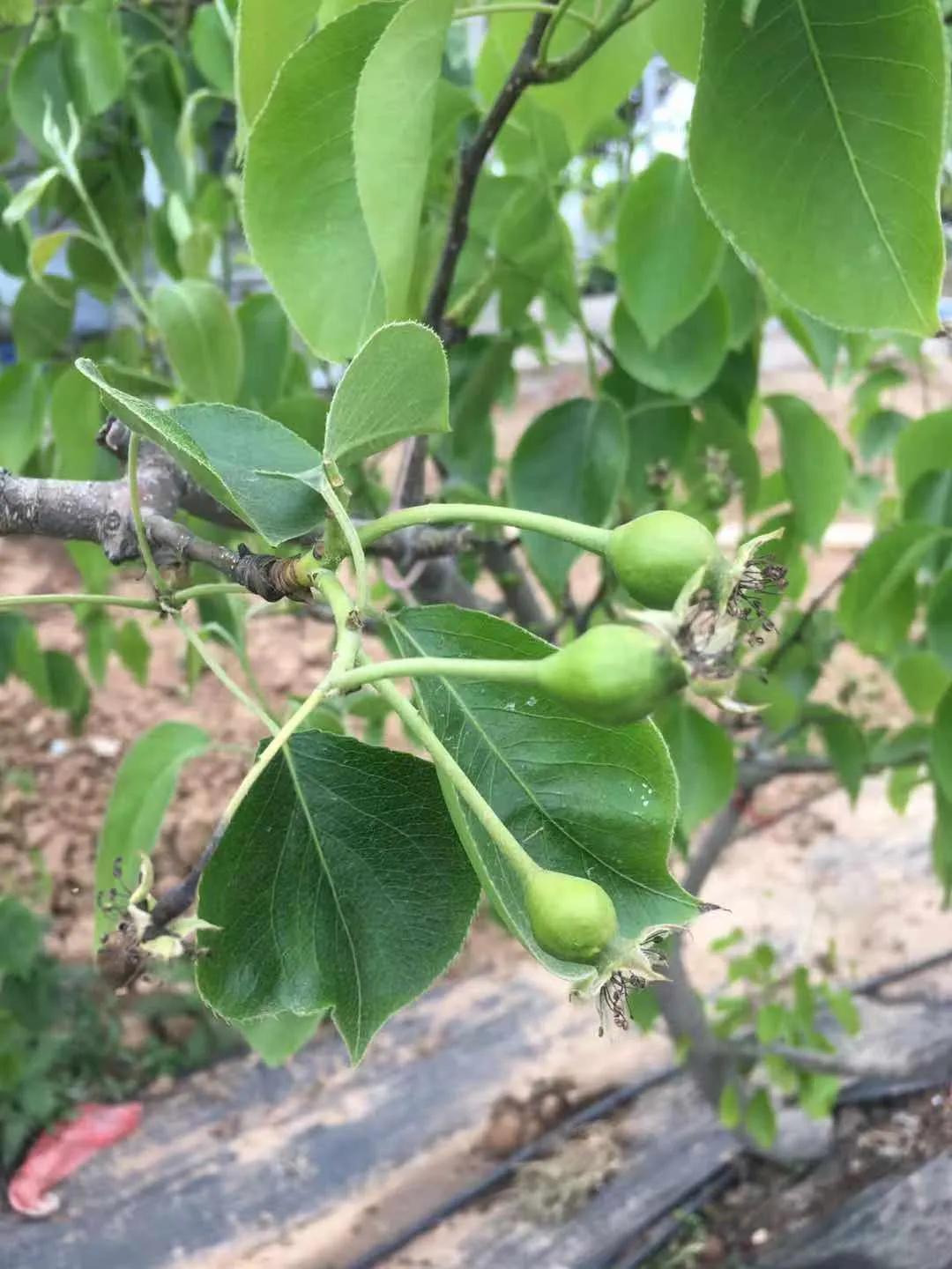 关于春日谷雨诗句,在谷雨诗词中留住最后一抹春色
