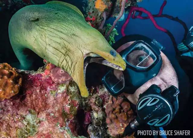 自由潜水怎么玩,潜水20个基本技巧