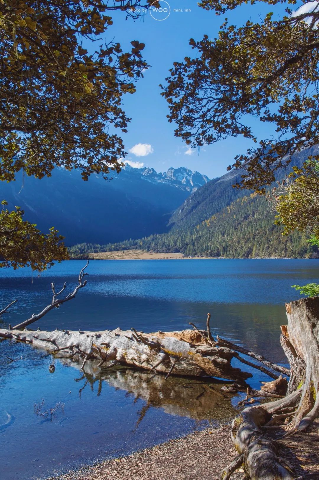 《有翡》取景地曝光！这个海拔3700，现场配救护车的地方要火