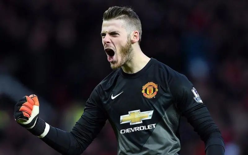 曼联球迷眼中的德赫亚,曼联对德赫亚的评价