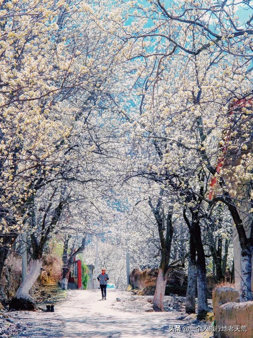 忽然想去自驾游了,想去川西看星空