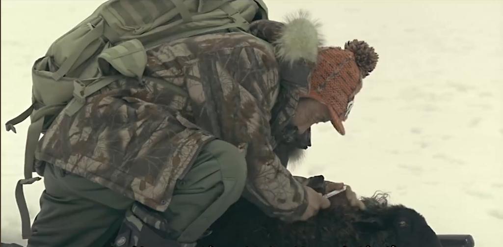 75岁老头被狼群追杀徒手大战狼群,放羊老汉遭遇狼群