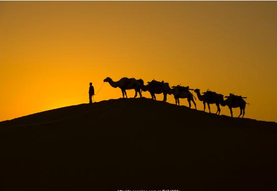许振东‖清代京畿三位徙疆文人的视域转换与文学呈现（上）