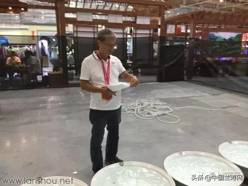 世界金鱼大赛在福州举行,2019中国世界金鱼大赛