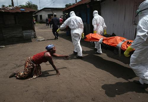 埃博拉病毒bbc纪录片,埃博拉真实纪录片有哪些