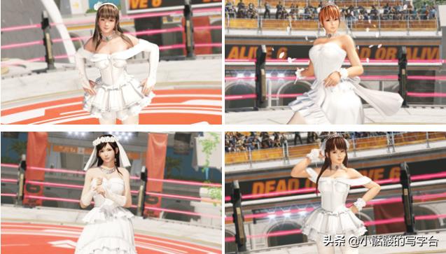 生死格斗6豪华版有什么,生死格斗6全部买完多少钱