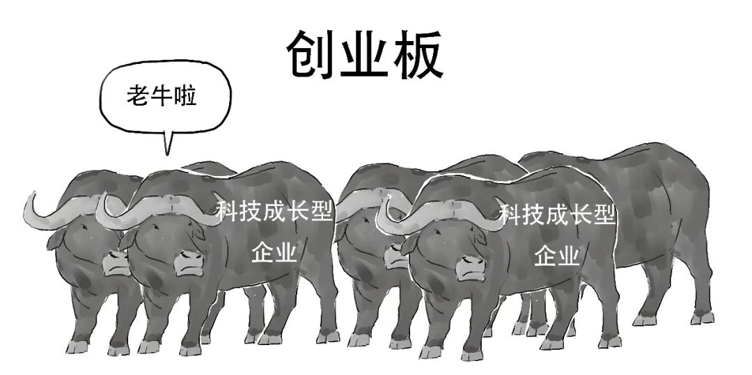 创业板注册制是什么时间开始的,创业板注册制是怎么规定的