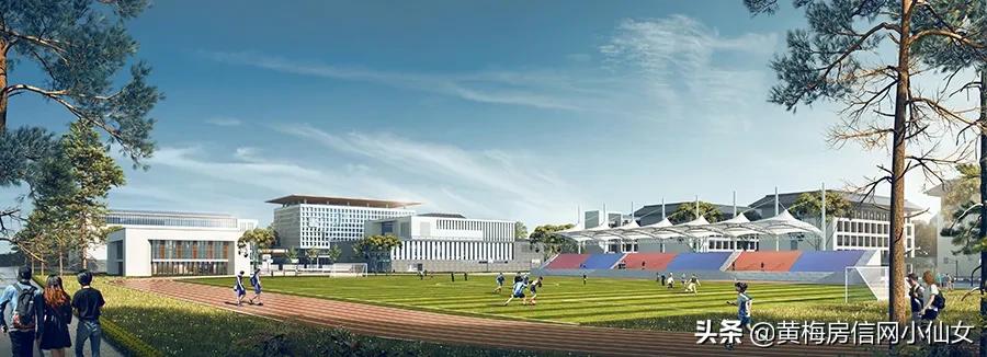 黄梅实验高中高考喜报,黄梅实验中学招生区域