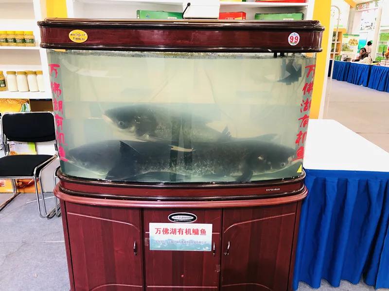 合肥农交会2023,合肥农交会的东西怎么样