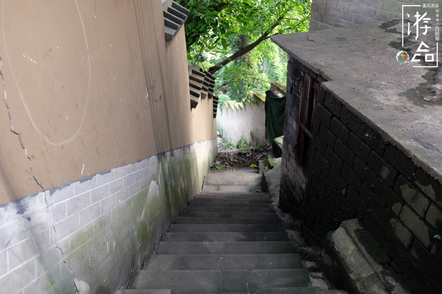 谁都逃不掉命运,谁都逃不掉的命运