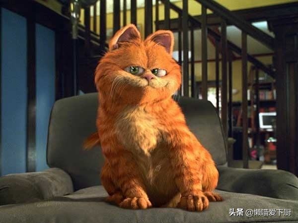 买意大利蝴蝶结意面,买意大利面