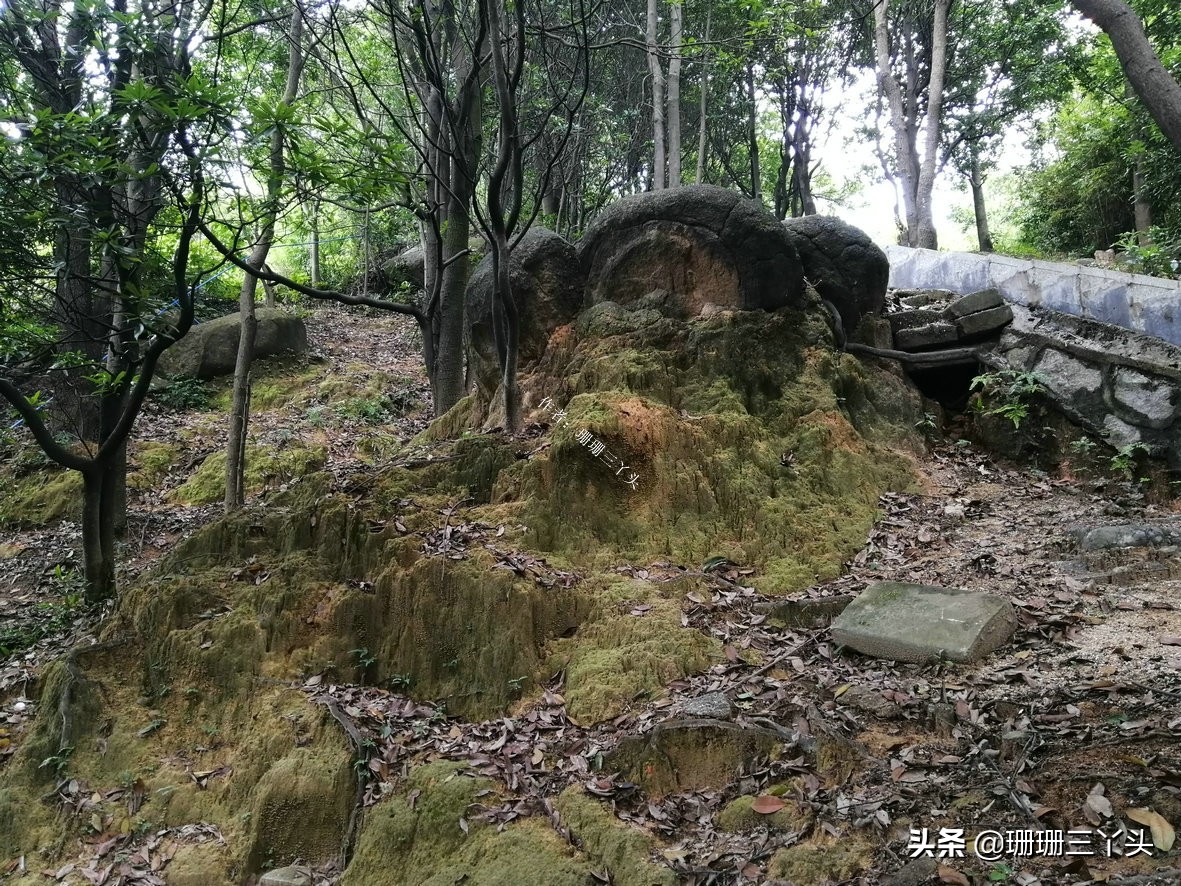 广州有座山,广州有和武功山差不多的山