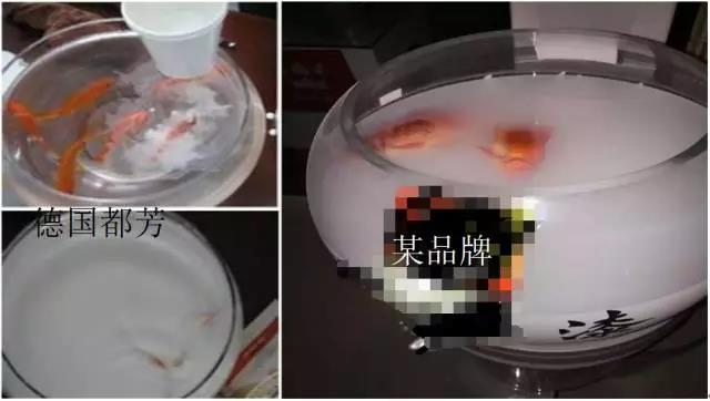 德国都芳漆与立邦漆哪个好,德国都芳漆蓝天使系列