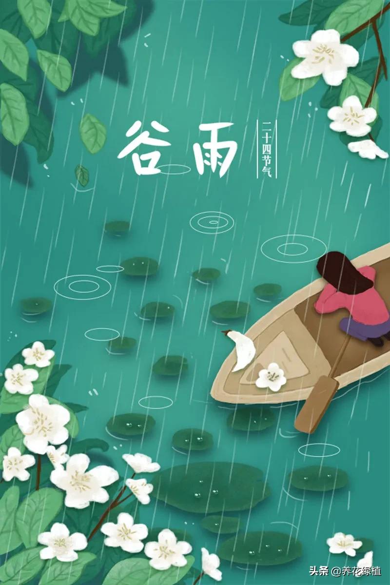 谷雨是什么节呢,谷雨节都举行什么活动
