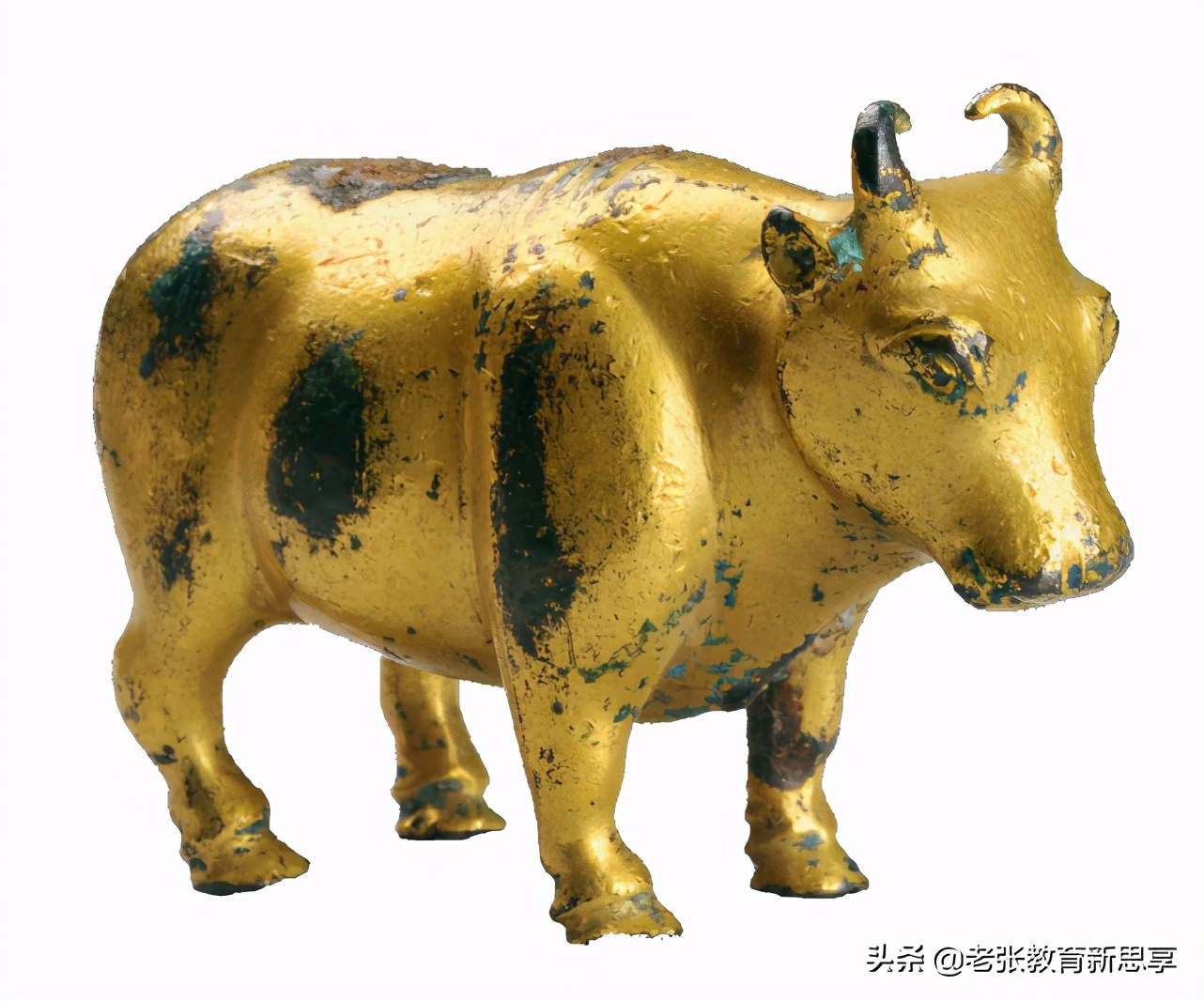 涨知识生肖,牛年感悟牛文化