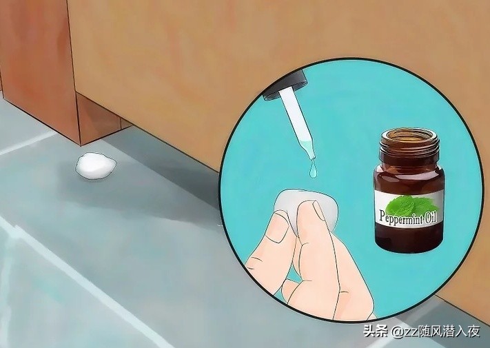 驱逐老鼠最好的办法,怎么样驱逐家里的老鼠