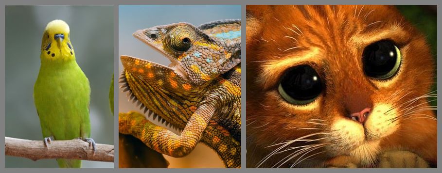 无聊到极致了,无聊到极致是什么样的体验