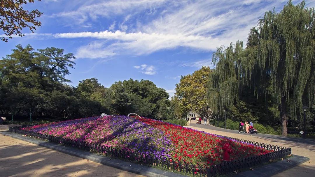 园林养护行业赚钱吗,园林行业到底赚不赚钱