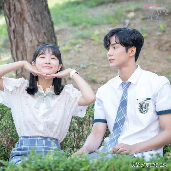 超好看的喜剧剧推荐,百看不厌的经典下饭剧