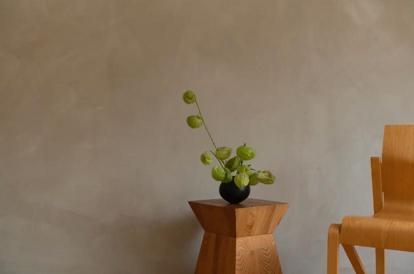 家里要有氛围感什么花比较好,家里高级的花