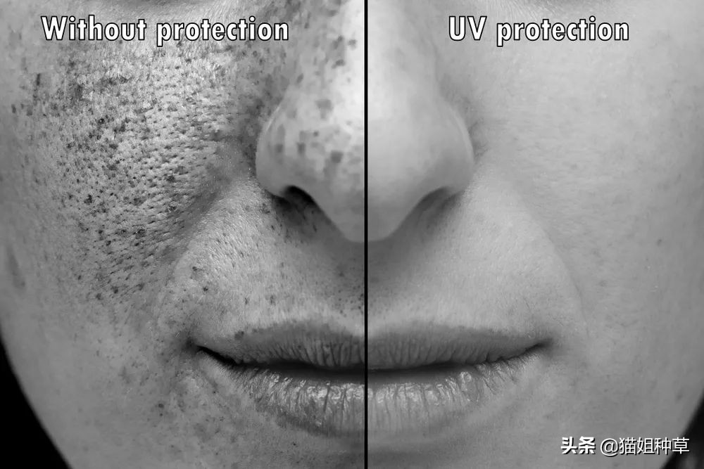 20种认定有风险的护肤成分,别再交除醛智商税了