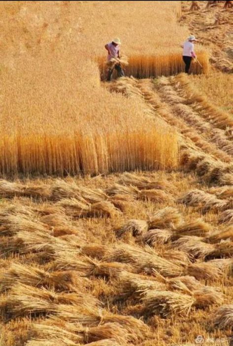 蜈蚣梁村还有这么一位特殊特别的“厅级干部”