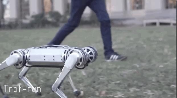 “请停止霸凌机器人”假视频揭秘，2019最强大机器人Top10在这里