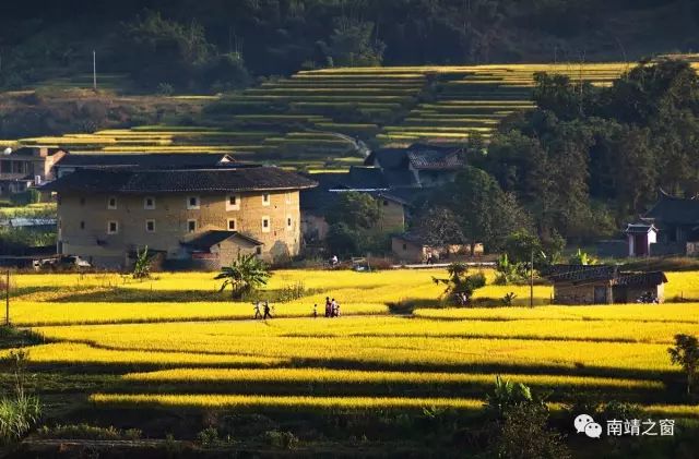 漳州南靖：有一种美，叫秋天的南靖