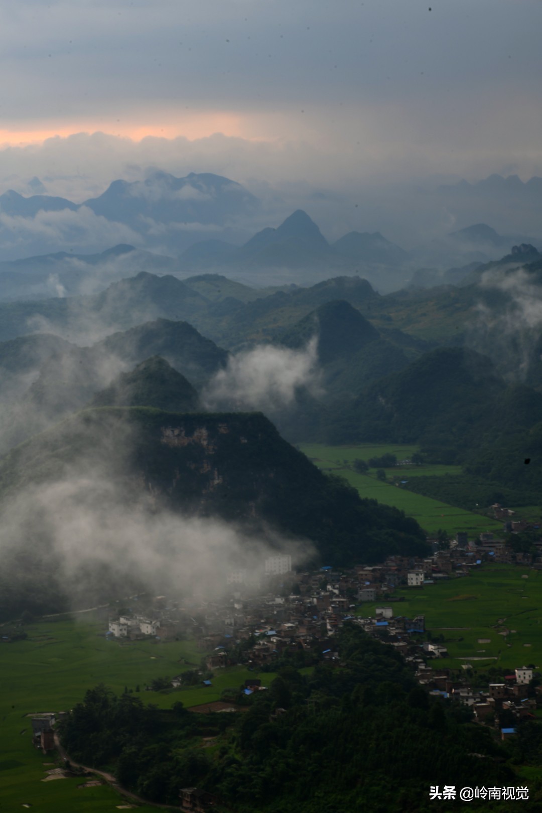 澶у鐢熺溂涓殑浜叉垰,澶у鐢熺溂涓殑鍏卞悓瀵岃