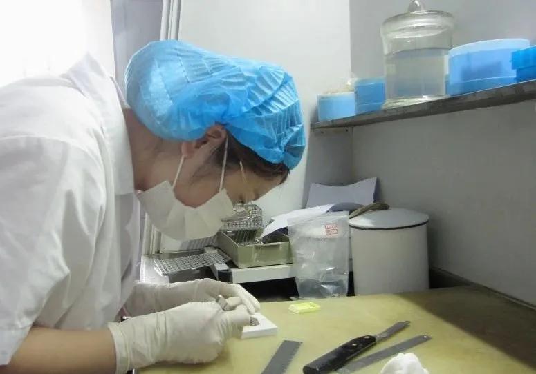 病理报告不能排除什么意思,病理报告为什么不能打印