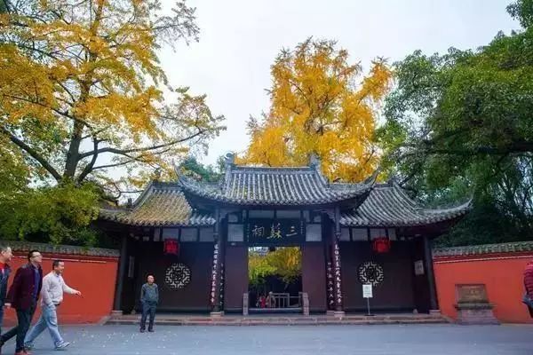 一泡而红!四川这座小城已火向全球,今天万人齐聚!