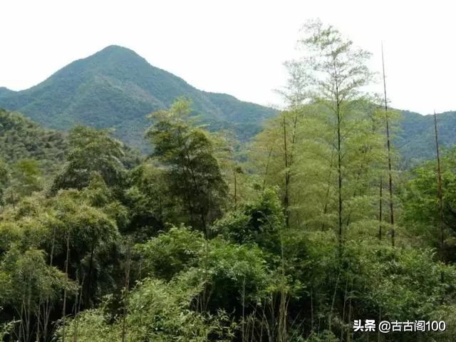 与兰亭对应的书法圣地,兰亭书法纪念馆