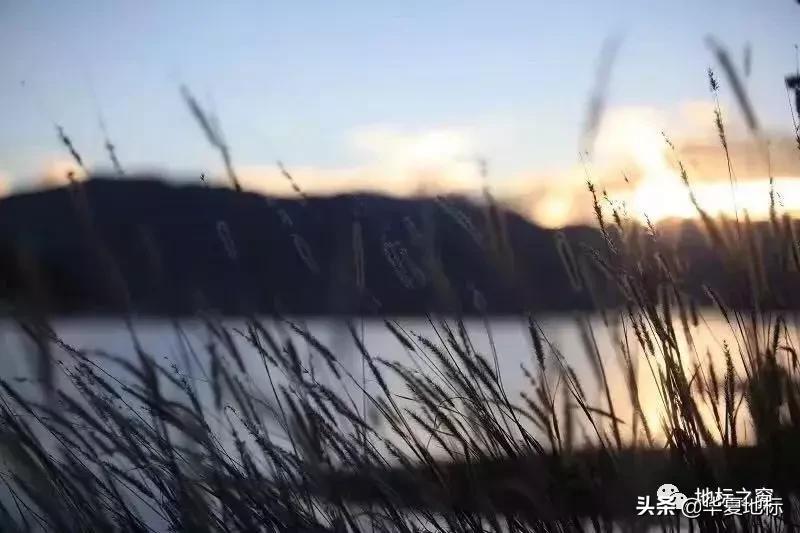 绉嬩箣瀚g劧鐑熻姳鍚戞櫄,绉嬩箣瀚g劧