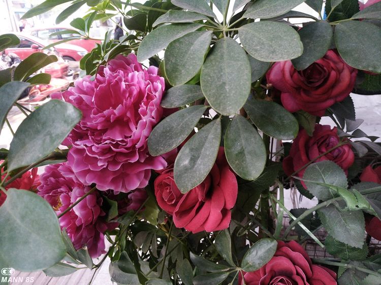 目前最强双摄手机,待机20天手机