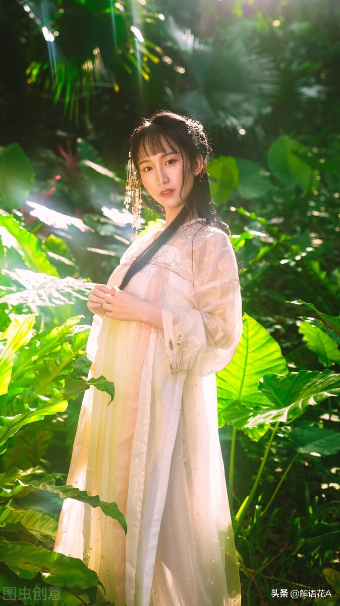 李时珍故事带来的启示,李时珍有哪些故事20字